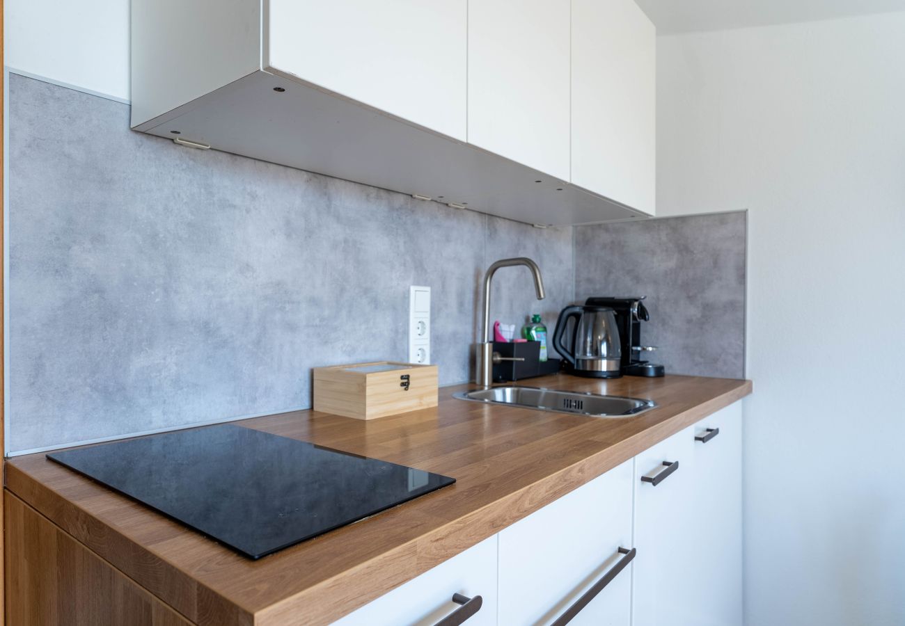 Appartement in Piesendorf - Maiskogelblick - TOP 14